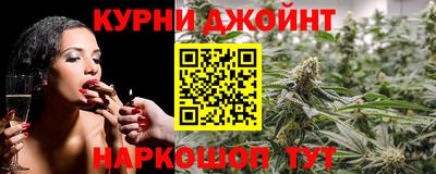 гидра Гай