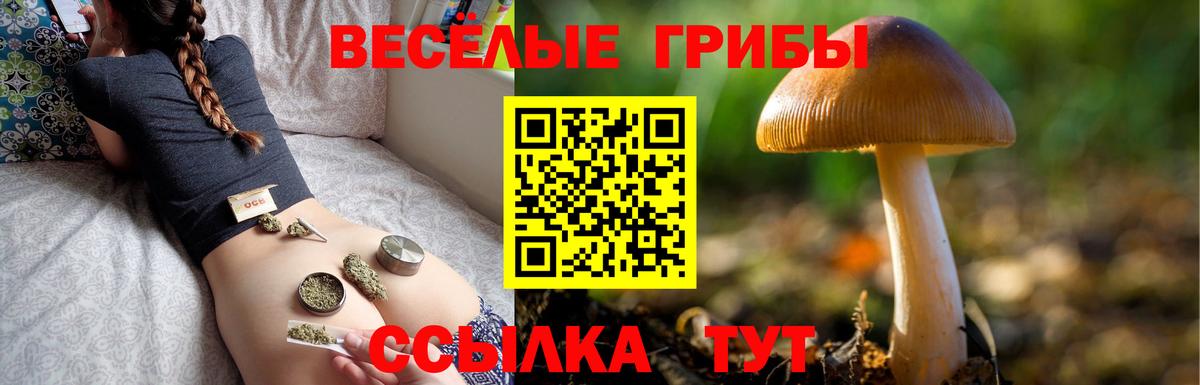 Галлюциногенные грибы прущие грибы Туапсе